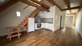 デュプレックス・フラット 賃貸 で ドレモン, スイス デュプレックス・フラット 賃貸 で ドレモン, スイス