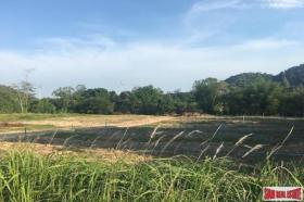 Property land / bosbouw te koop in กระบี่, Thailand