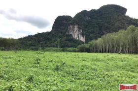 Property land / bosbouw te koop in กระบี่, Thailand