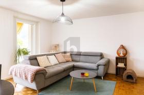 Lapos kiadó a  oldalon. Yverdon-les-Bains, Svájc Lapos kiadó a  oldalon. Yverdon-les-Bains, Svájc