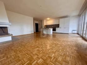 扁平 出租 于 罗尔, 瑞士