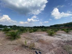 Property land/forestry for sale in กระบี่, Thailand