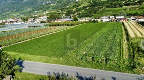 Lote industrial à venda em Sächsisch, Suíça