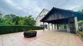 Дом на две семьи в аренду в Альшвиль-Иселин, Швейцария