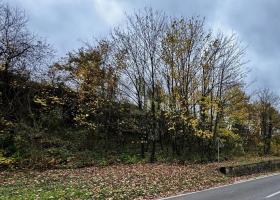 terrain à bâtir À vendre à Bullay, Allemagne terrain à bâtir À vendre à Bullay, Allemagne