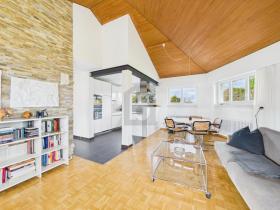 Floor Apartment For Rent in Ebmatingen, Switzerland