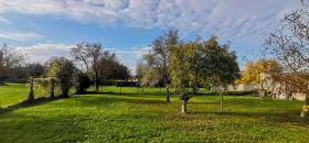 inşaat alanı Satılık 'de Breitenbrunn, Avusturya inşaat alanı Satılık 'de Breitenbrunn, Avusturya