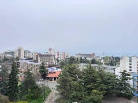 Apartment For Sale in Sunny Beach-Burgas, Bulgaria