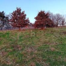 Działka budowlana Na sprzedaż w Kinderbeuern-Bernkastel-Wittlich, Niemcy Działka budowlana Na sprzedaż w Kinderbeuern-Bernkastel-Wittlich, Niemcy