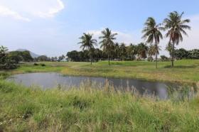 Property land/forestry For Sale in ประจวบคีรีขันธ์, Thailand Property land/forestry For Sale in ประจวบคีรีขันธ์, Thailand