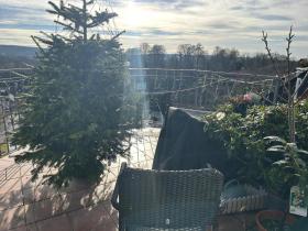 Lapos Eladó a  oldalon. Wuppertal-Elberfeld-West, Németország