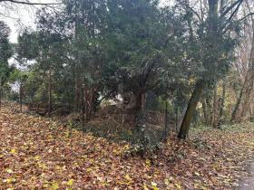 Baugrundstück Zu verkaufen in Bochum-Hiltrop, Deutschland