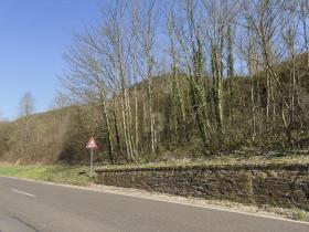 inşaat alanı Satılık 'de Bullay, Almanya inşaat alanı Satılık 'de Bullay, Almanya