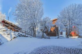 扁平 出售 于 格雷兴, 瑞士