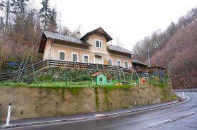 一戸建て 競売 で ヴァイセンブルクゲント, オーストリア