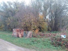 Property land/forestry For Sale in Landsberied, Germany