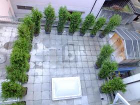 appartement À vendre à Erstfeld-Bitzi, Suisse