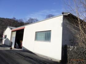 Bedrijf, Commercieel object Foreclosures in Aspang Markt, Oostenrijk