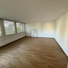 Etagenwohnung Zu vermieten in Allschwil, Schweiz Etagenwohnung Zu vermieten in Allschwil, Schweiz
