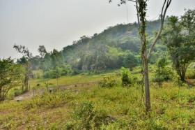 Terrain sylviculture nationale À vendre à ประจวบคีรีขันธ์, Thaïlande