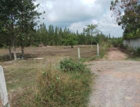 Terrain sylviculture nationale À vendre à ประจวบคีรีขันธ์, Thaïlande
