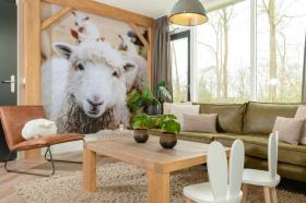 Holiday home for rent in Wierden-Zuna, Netherlands