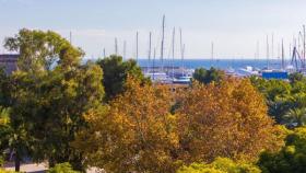 Apartment for sale in Palma, Spain