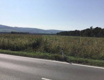 Emlak arazi / ormancılık  in Langenlebarn, Avusturya